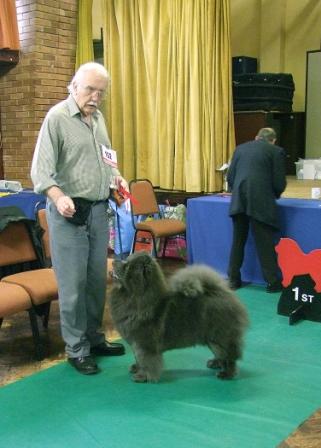 The Chow Chow Club